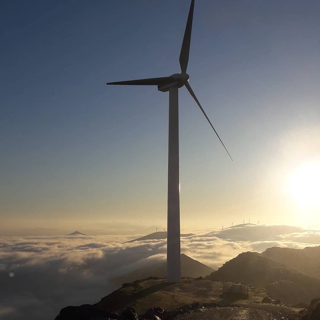 2025年風(fēng)電行業(yè)新動(dòng)態(tài)：中國(guó)風(fēng)電穩(wěn)步增長(zhǎng)，海上風(fēng)電加速發(fā)展